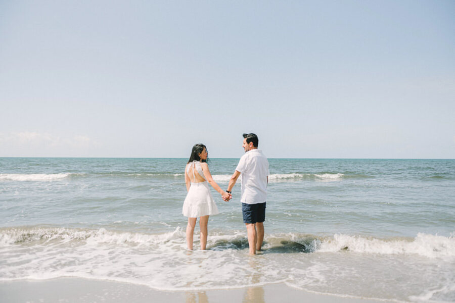 Descripción de la imagen 13